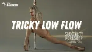 Tricky Low Flow Specialty Workshop July 2025